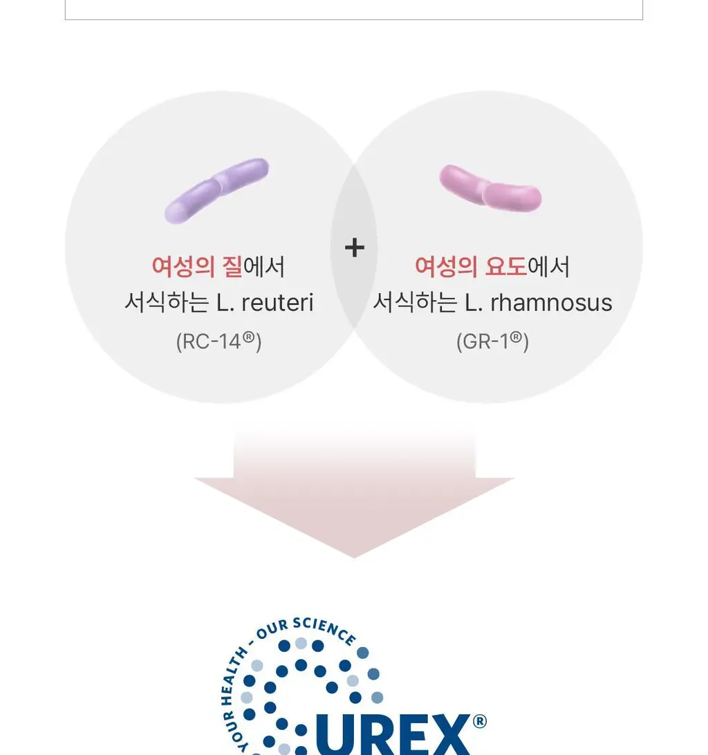 [덴프스X카카오프렌즈] 덴마크 유산균이야기 우먼 2개월분(질유산균) + 키링 증정 상세페이지 16